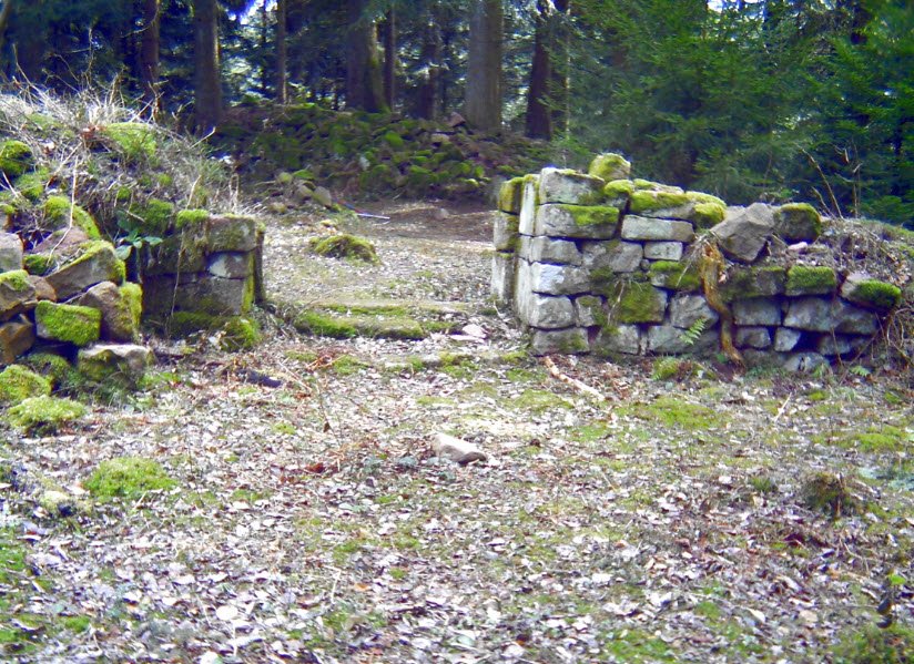 Ruine Willenburg (Schlössle), Germany